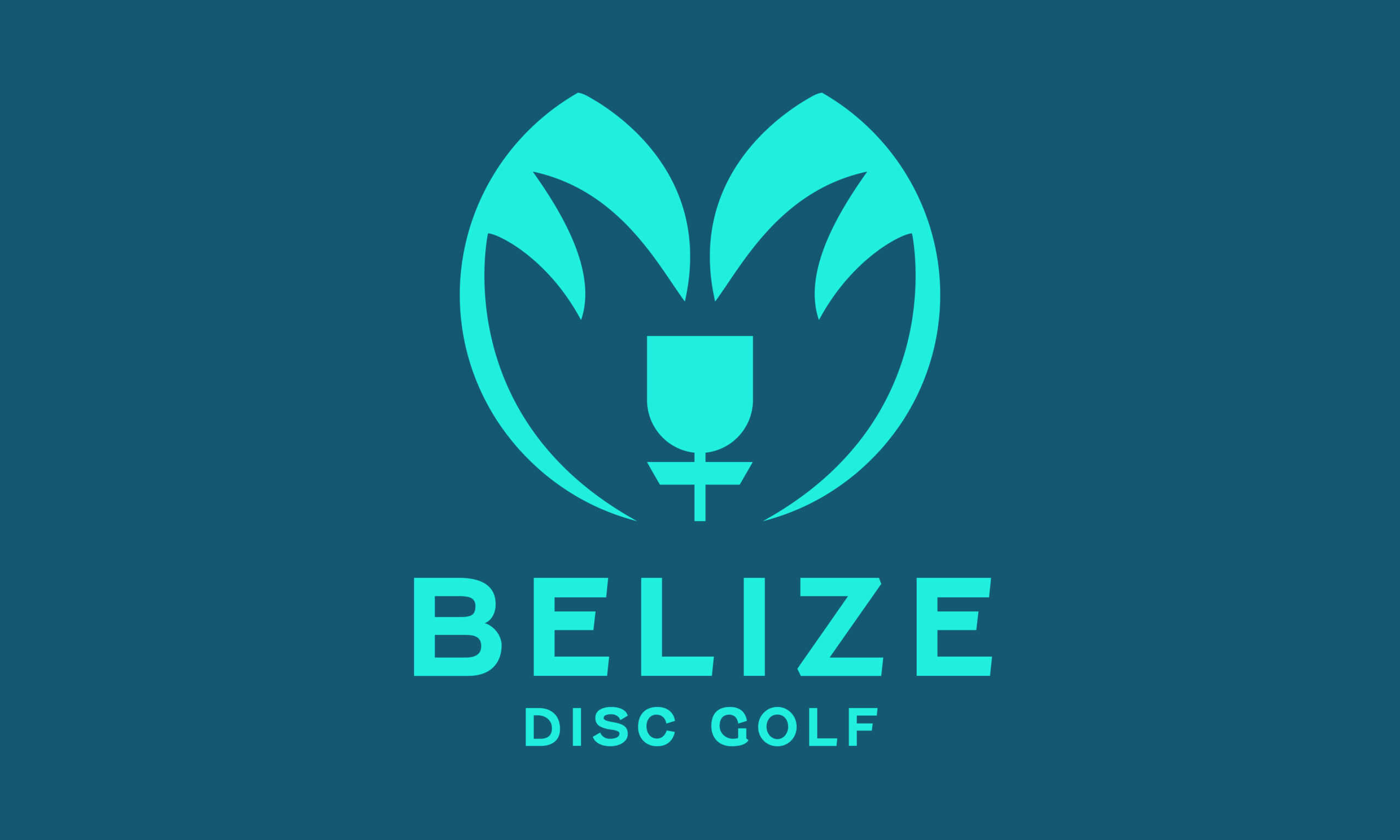 Logotype for belize disc golf